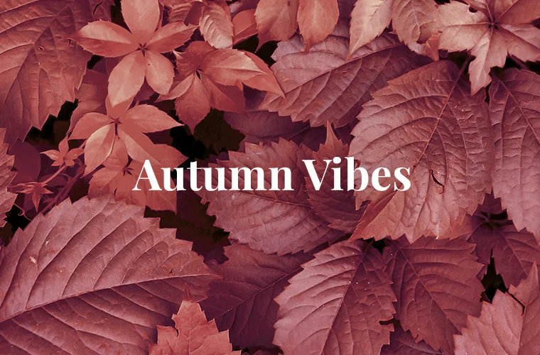 Autumn Vibes