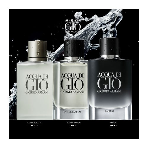 Giorgio Armani Acqua di Giò テスター 100ml Giorgio Armani Acqua Di Gio Parfum For Men 100ml-Fresh