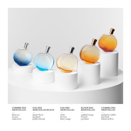 Hermès Eau Des Merveilles Eau de Toilette | Deloox.com