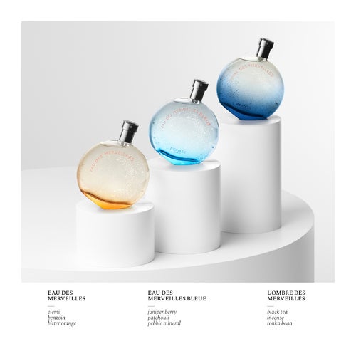 Hermès Eau Des Merveilles Eau de Toilette | Deloox.com