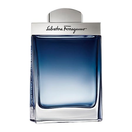 Salvatore Ferragamo Subtil Homme Eau de Toilette