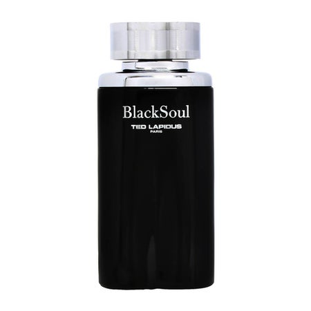 Ted Lapidus Black Soul Eau de Toilette 100 ml