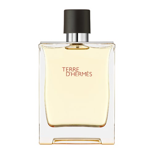 Hermès Terre D'Hermès Eau de Toilette