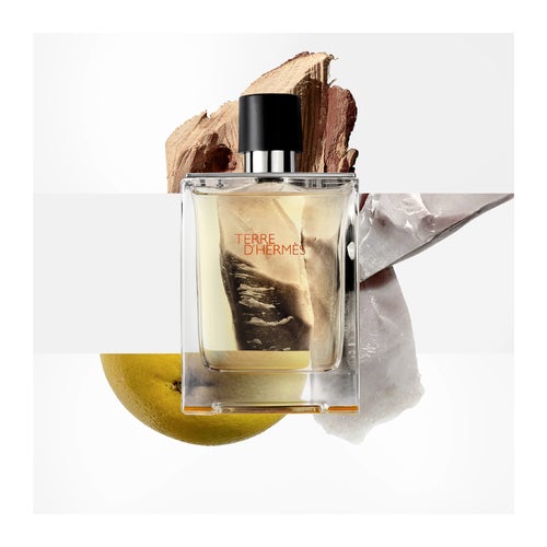 HERMÈS TERRE D'HERMÈS Terre d'Hermes Parfum - 2.54 fl.oz | Hermès USA