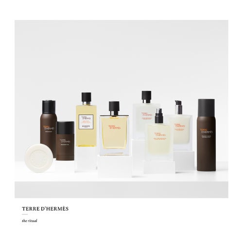 HERMES TERRE D'HERMÉS 100ml 新品未使用 530862_768.jpg