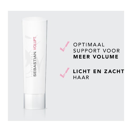 Sebastian Volupt Conditioner