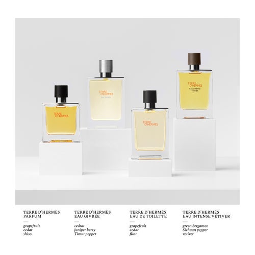 Hermès Terre D'Hermès Parfum | Deloox.com