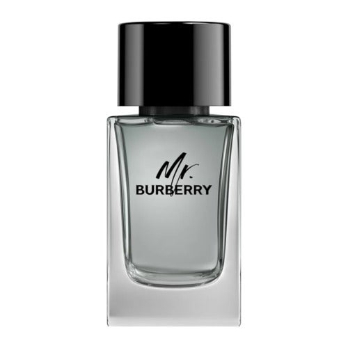 Burberry Mr. Burberry Eau de Toilette | Deloox.com