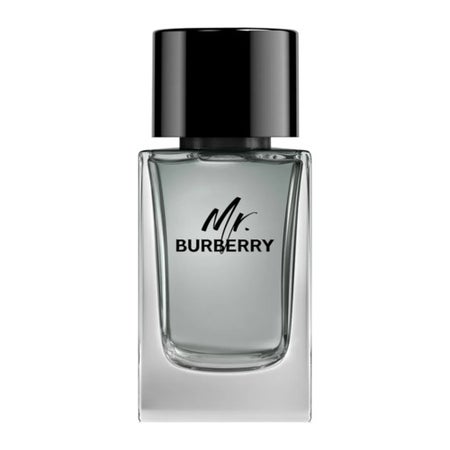Burberry Mr. Burberry Eau de Toilette
