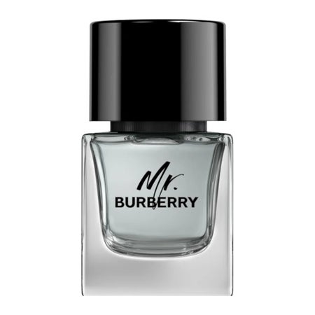 Burberry Mr. Burberry Eau de Toilette