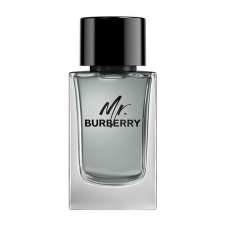 Burberry Mr. Burberry Eau de Toilette 150 ml