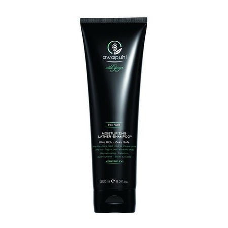 Paul Mitchell Awapuhi Wild Ginger Moisturizing Lather Shampoo
