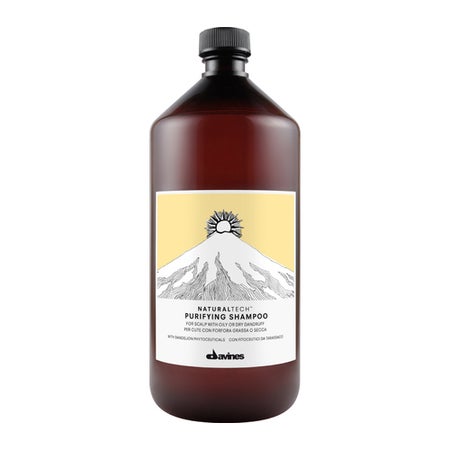 Davines Naturaltech Purifying Shampoo