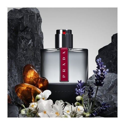 香水(男性用) PRADA Luna Rossa Carbon 100ml Amazon.com : Prada Luna Rossa Carbon by EDT Spray 1.7 Oz