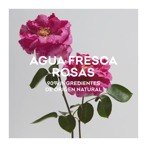 Adolfo Dominguez Agua Fresca De Rosas Eau de Toilette