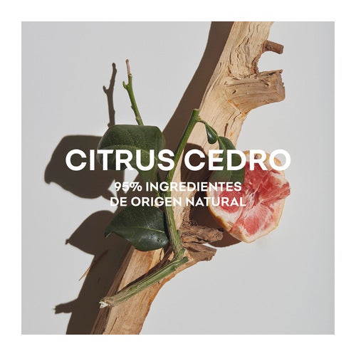 Adolfo Dominguez Agua Fresca Citrus Cedro Eau de Toilette