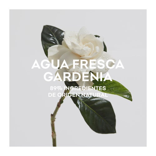 Adolfo Dominguez Agua Fresca De Gardenia Musk Eau de Toilette