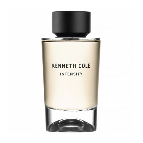 Kenneth Cole Intensity Eau de Toilette