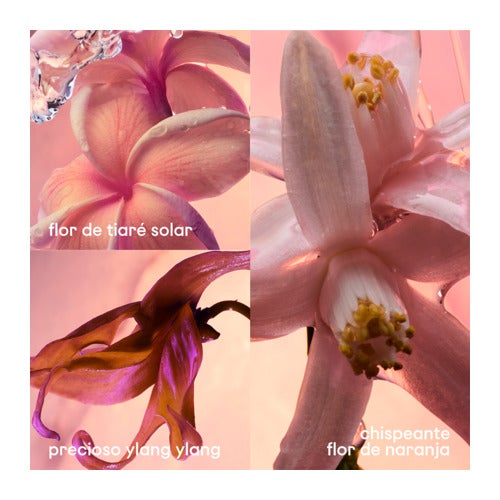Rabanne Olympéa Solar Eau de Parfum Intenso