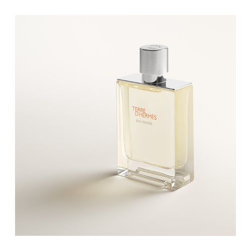 Hermès Terre D'Hermès Eau Givrée Eau de Parfum Refillable kopen