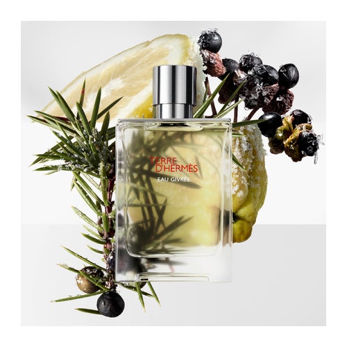 Hermès Terre D'Hermès Eau Givrée Eau de Parfum Refillable | Deloox.com