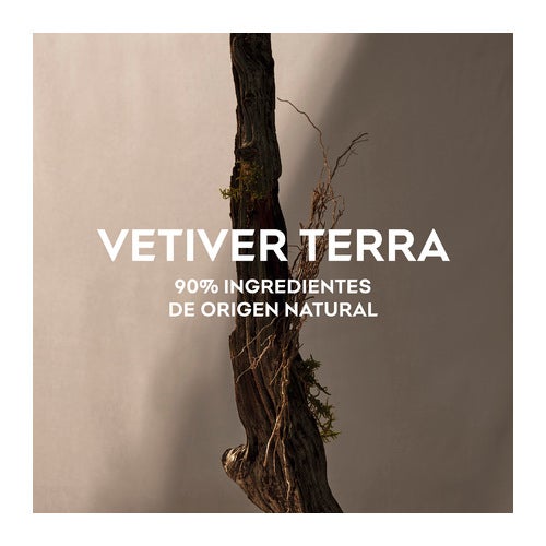 Adolfo Dominguez Vetiver Terra Eau de Parfum