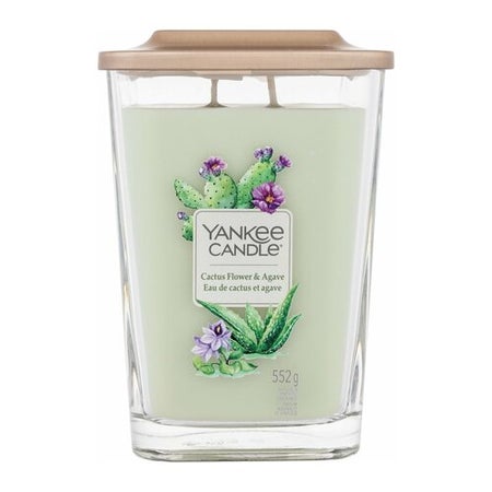Yankee Candle Cactus Flower & Agave Bougie Parfumée 552 grammes