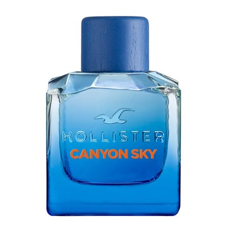 Hollister Canyon Sky For Him Eau de Toilette 100 ml