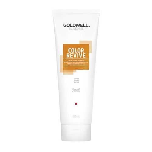 Goldwell Dualsenses Color Revive Color Giving Shampoo