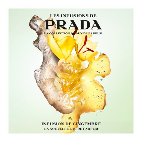 Prada Infusion De Gingembre Eau de Parfum