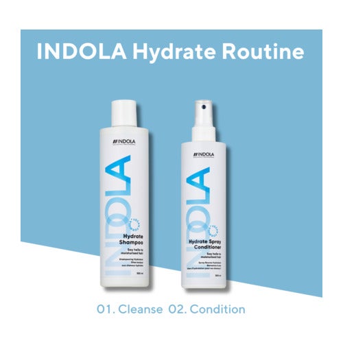 Indola Care & Style Hydrate Spray Conditioner