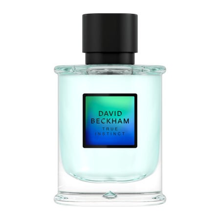 David Beckham True Instinct Eau de Parfum