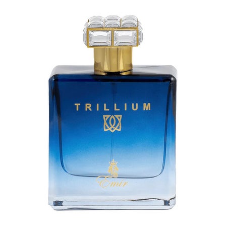 Emir Trillium Eau de Parfum 100 ml