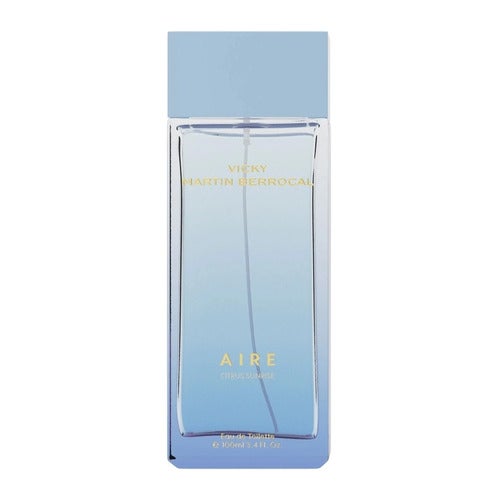 Vicky Martin Berrocal Aire Eau de Toilette