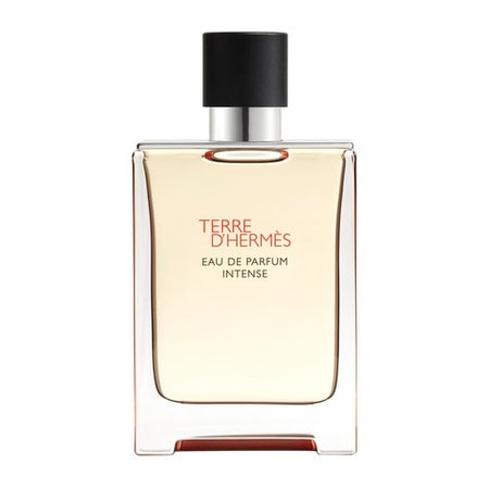 Hermès Terre D'Hermès Eau de Parfum Intensiv