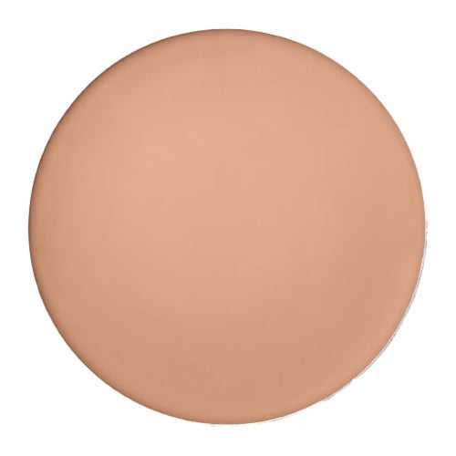 Shiseido Tanning Compact Foundation Sun makeup SPF 10