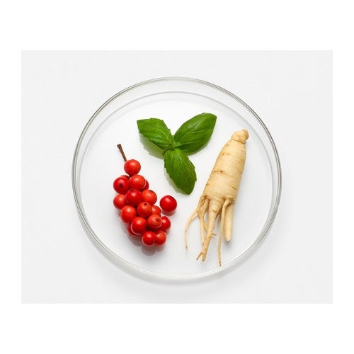 Kiehl's Vital Skin-Strengthening Super Serum