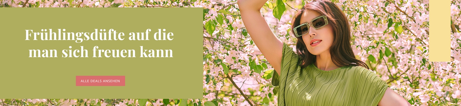 Deloox banner