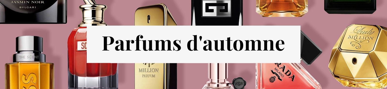 Deloox banner